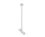 Pendant Light Pendant Spotlight – Luma