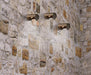 Wall Light Wall lamp – Luma