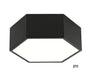 Ceiling Light Ceiling lamp – Luma
