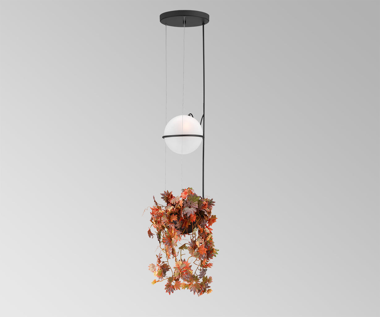 Ceiling Light Ceiling light with flower pot – Luma