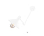 Wall Light Wall & Ceiling Light – Luma