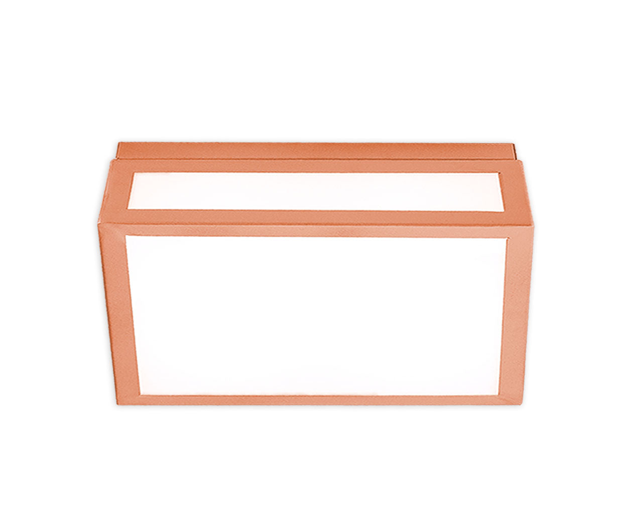 Wall Light Ceiling Light – Luma