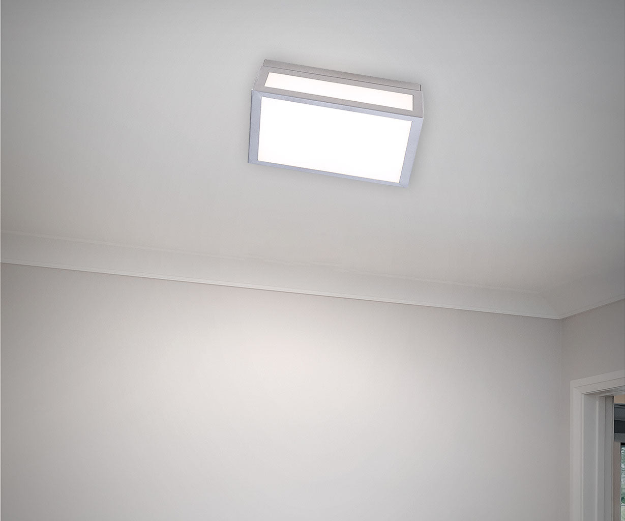 Wall Light Ceiling Light – Luma