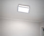 Wall Light Ceiling Light – Luma