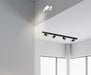 Spot Light Spotlight – Luma