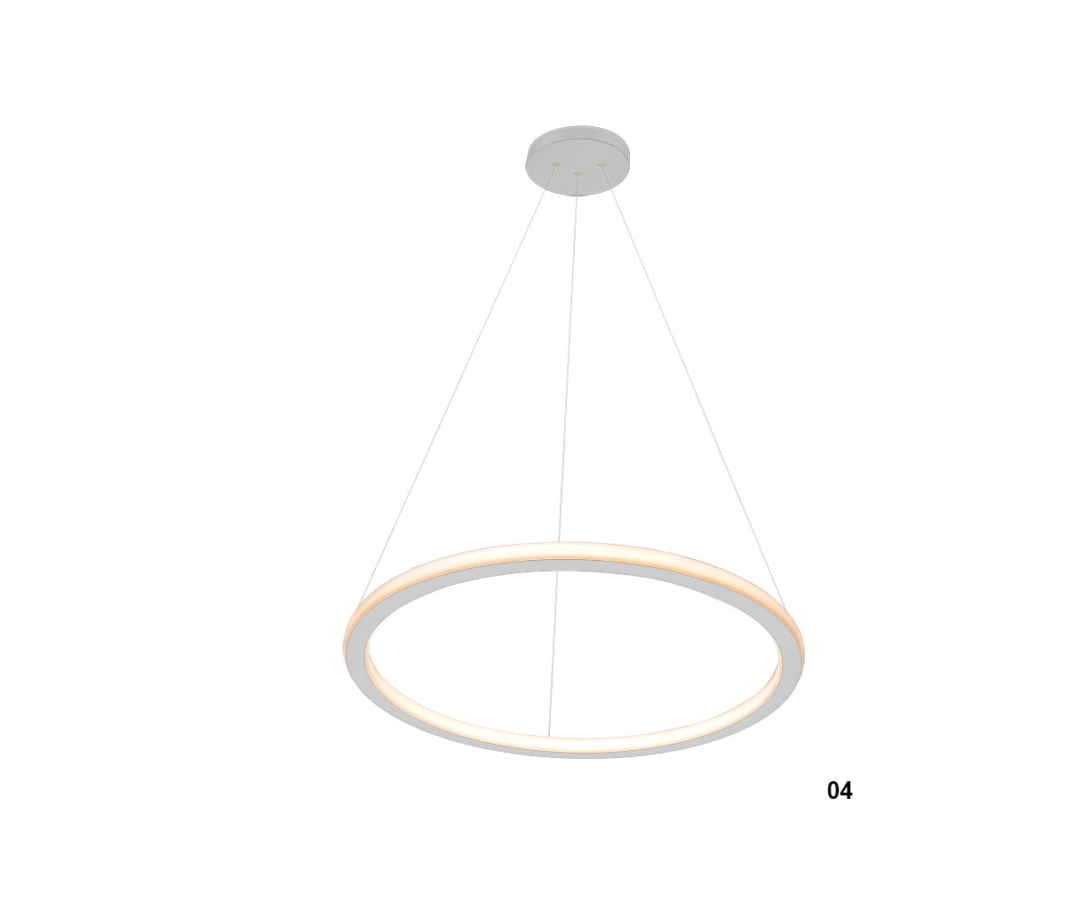 Pendant Light Pendant Circle – Lighting In and Out – Luma