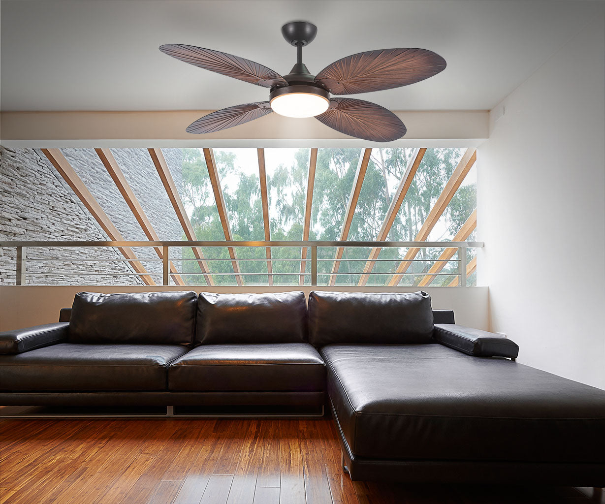 Ceiling Light Ceiling Fan – Luma