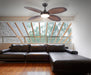 Ceiling Light Ceiling Fan – Luma