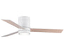 Light Fixture Ceiling Fan Lighting – Luma