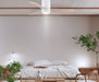 Light Fixture Ceiling Fan Lighting – Luma