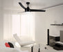 Light Fixture Ceiling Fan Lighting – Luma