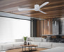Light Fixture Ceiling Fan Lighting – Luma