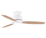 Light Fixture Ceiling Fan Lighting – Luma