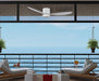 Light Fixture Ceiling Fan Lighting – Luma