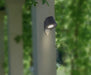 Wall Light Outdoor Wall Light – Luma