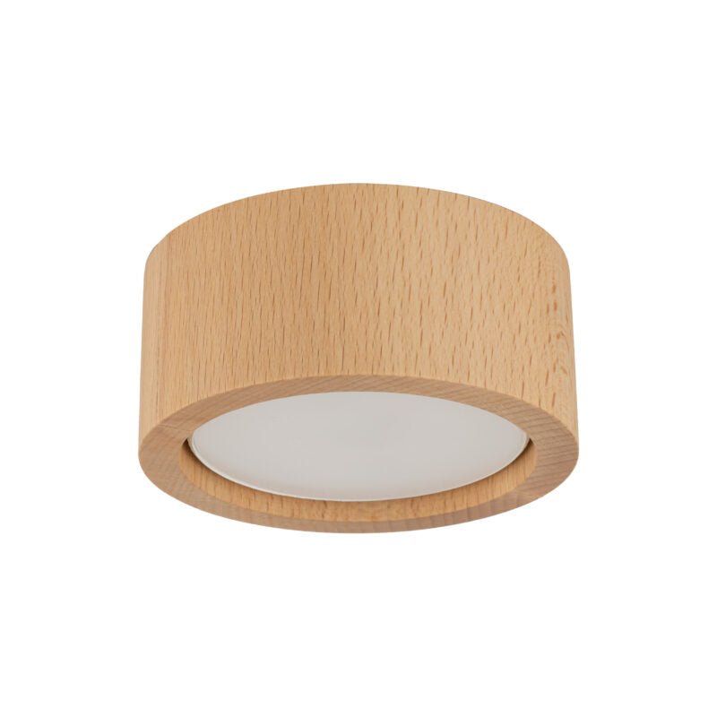 Modern Wood Spot Lamp EVE TK LIGHTING