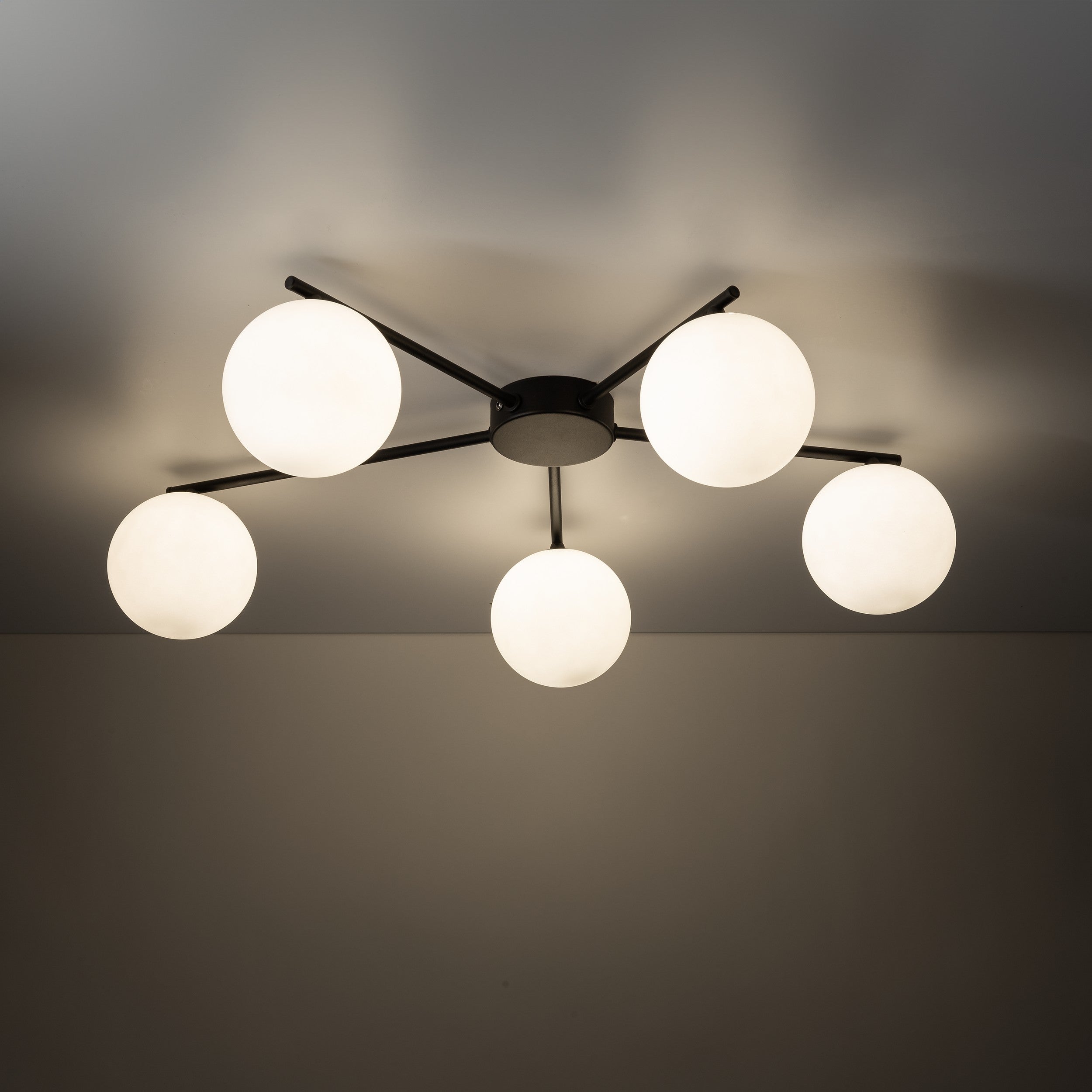 Modern Ceiling Lamp ELTON TK LIGHTING