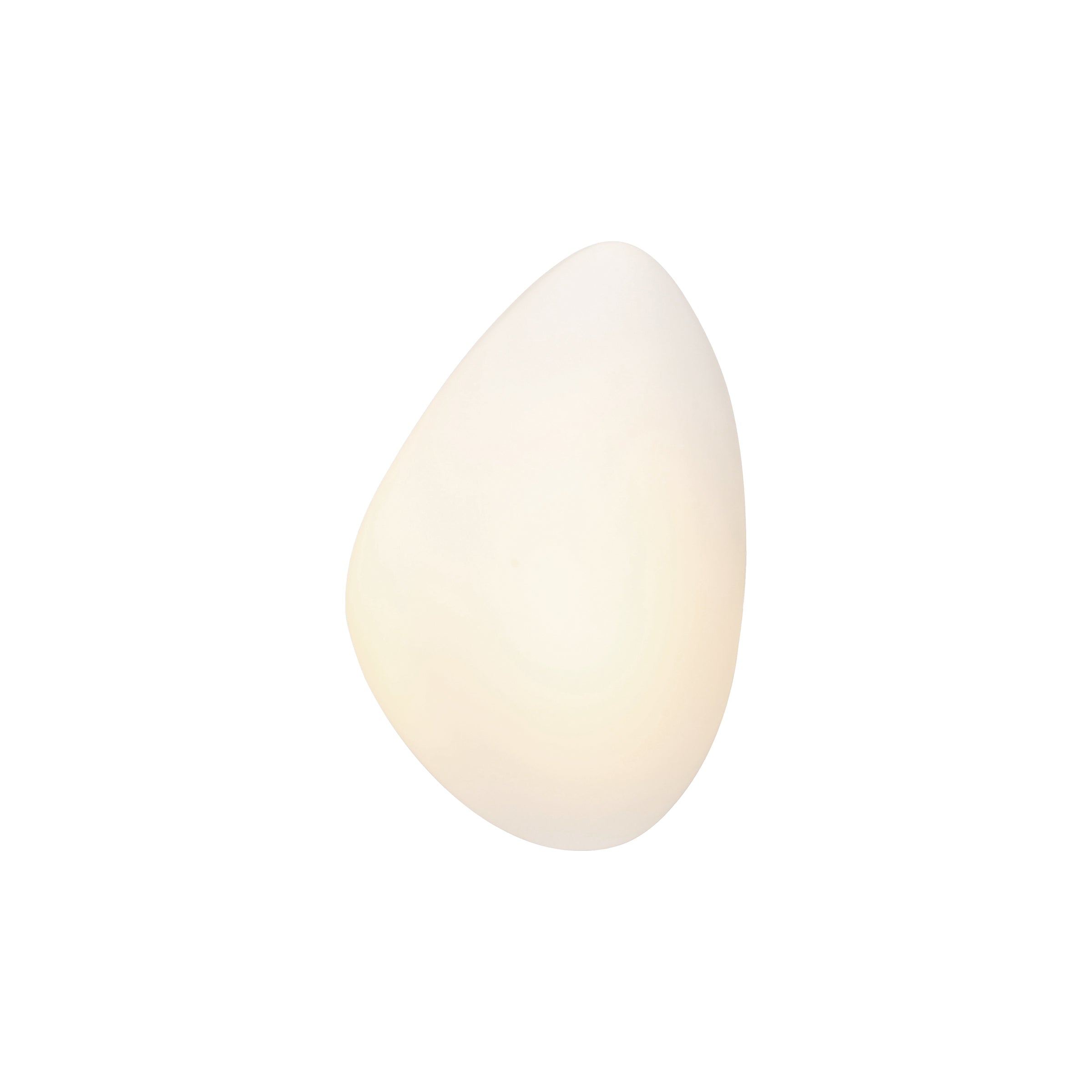 Light Fixture SCONCE LIGHT LED 5W 3000K METAL GLASS WHITE – Zambelis