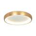 Ceiling Light CEILING LED LIGHT 55W 3000K ALUMINΙUM BRUSHED GOLD – Zambelis