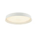 Ceiling Light LED CEILING LIGHT 20W 3000K WHITE – Zambelis