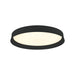 Ceiling Light LED CEILING LIGHT 20W 3000K BLACK – Zambelis