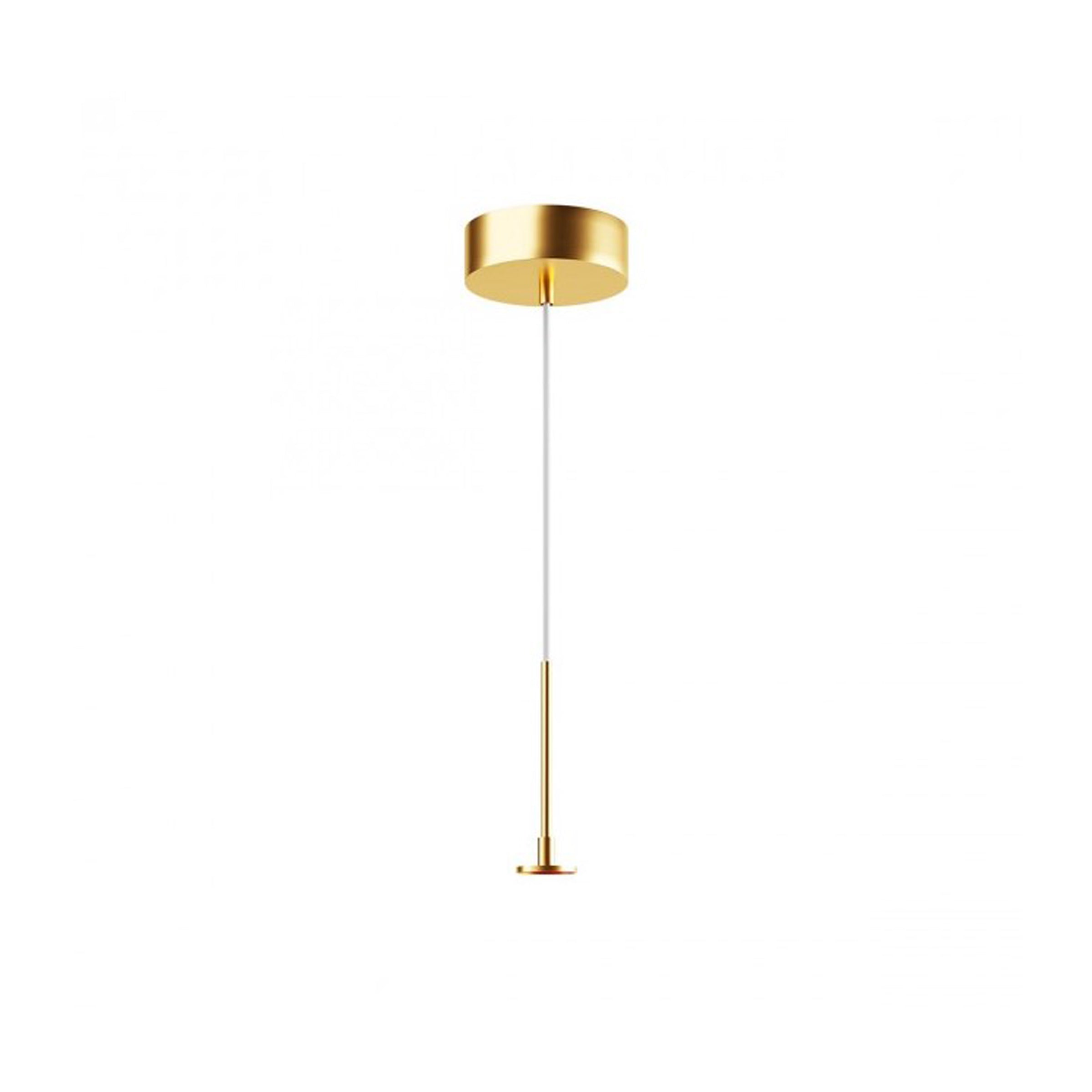 Light Fixture SURFACE BASE DRIVER GOLD MAX 30W – Zambelis