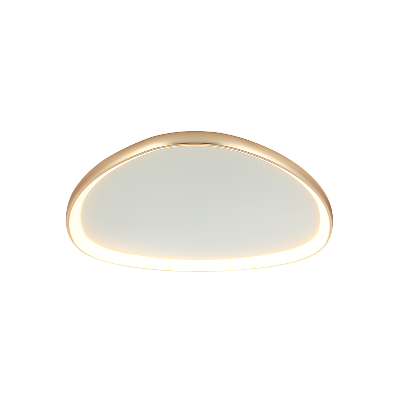 LED Modern Ceiling Lamp  ZAMBELIS