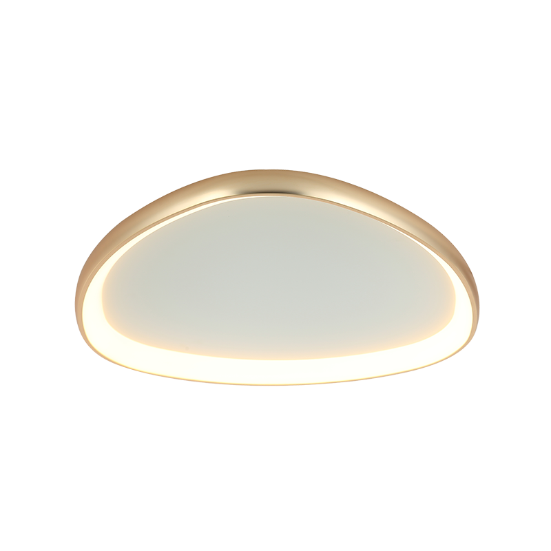 LED Modern Ceiling Lamp  ZAMBELIS