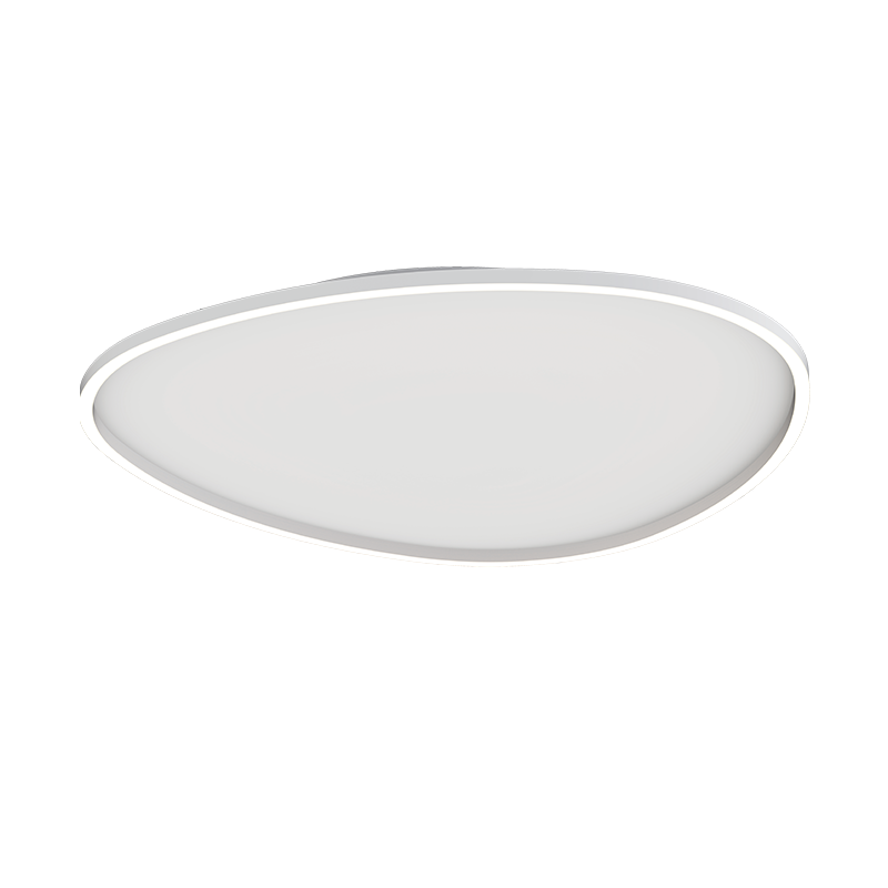 LED Modern Ceiling Lamp  ZAMBELIS