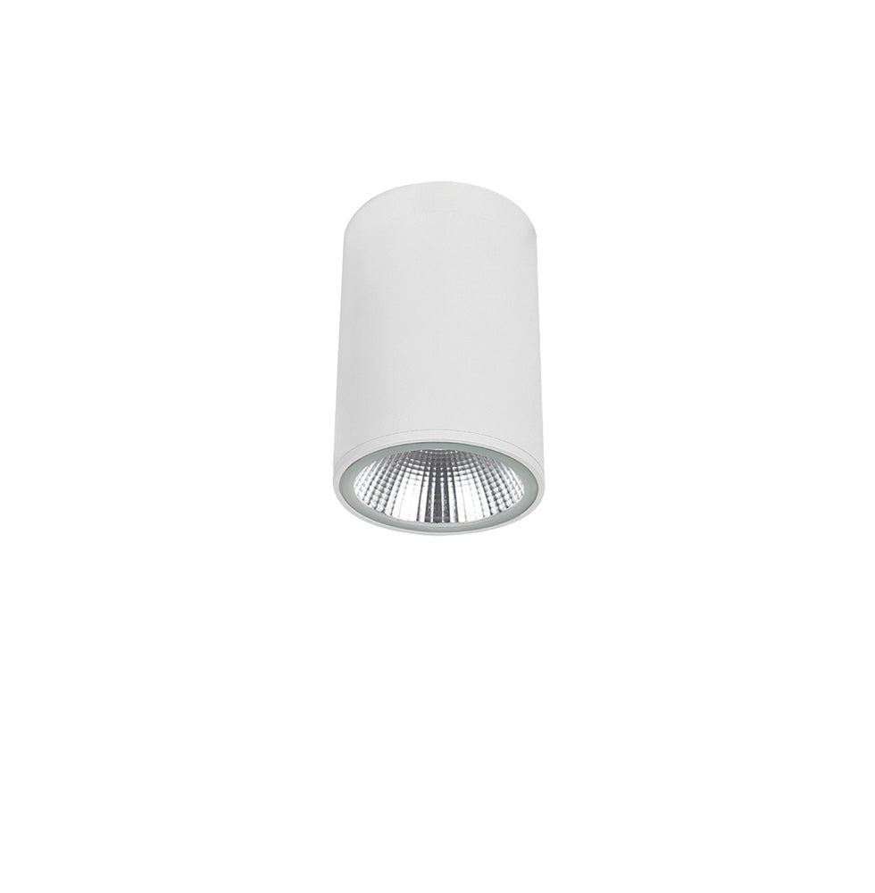 Ceiling Light Spot Light White Dermot – Viokef