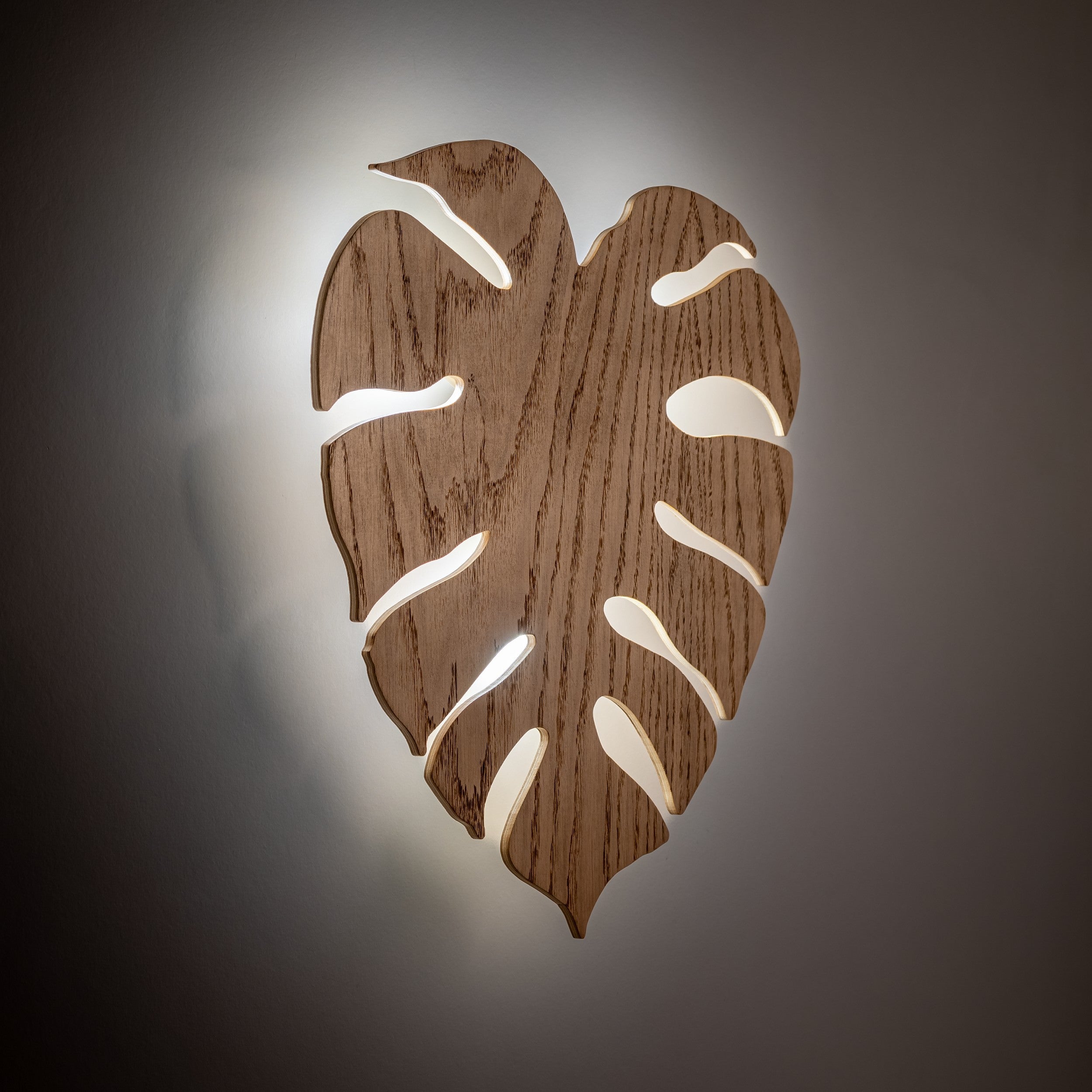 Modern Wall Lamp HOJA TK LIGHTING