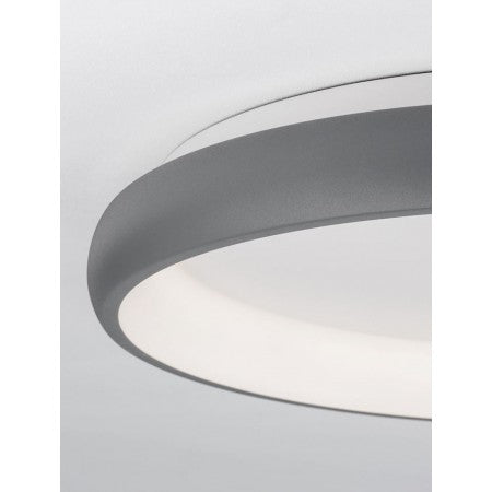 LED Modern  Lamp ALBI NOVA LUCE