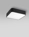 Ceiling Light RAGU – Nova Luce