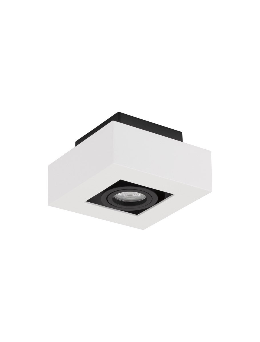 Surface Downlight GU10 ROBIN Nova Luce