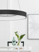 Pendant Light RANDO THIN – Nova Luce