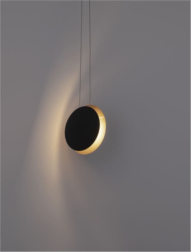 LED Modern Pendant and Wall Lamp  SHELL  NOVA LUCE