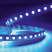 Light Fixture LED STRIP 24V 16W/m RGBW-3000K IP20 – Zambelis