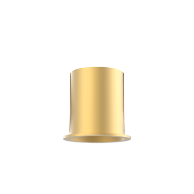 Light Fixture RING FOR S204-S205 GOLD – Zambelis