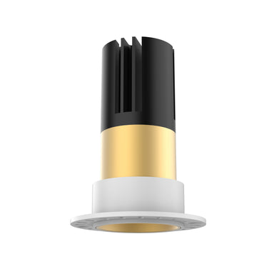 Light Fixture GOLD RING FOR S209-S210 (TRIMLESS APPLICATION) – Zambelis