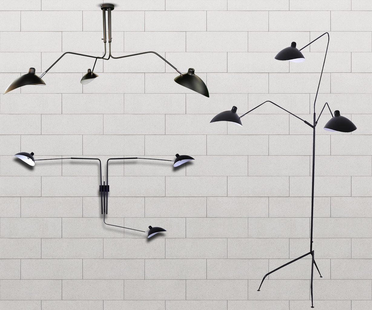 Modern  Wall and Ceiling Lamp Luma