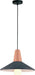 Modern Pendant Lamp VIOKEF TOM 4165201 1xE27 - Lampbroker