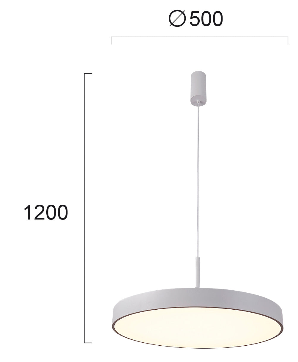 LED Modern Pendant and Ceiling Lamp MADISON VIOKEF