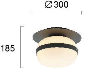 Modern Ceiling Lamp  PALMA 4245700 1xE27 VIOKEF