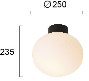 Modern Ceiling Lamp  ANGELO 4249000 1xE27 VIOKEF