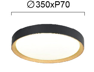 LED Modern Ceiling Lamp SPRIT VIOKEF