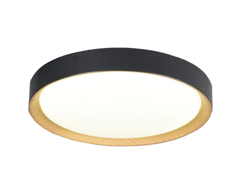 LED Modern Ceiling Lamp SPRIT VIOKEF