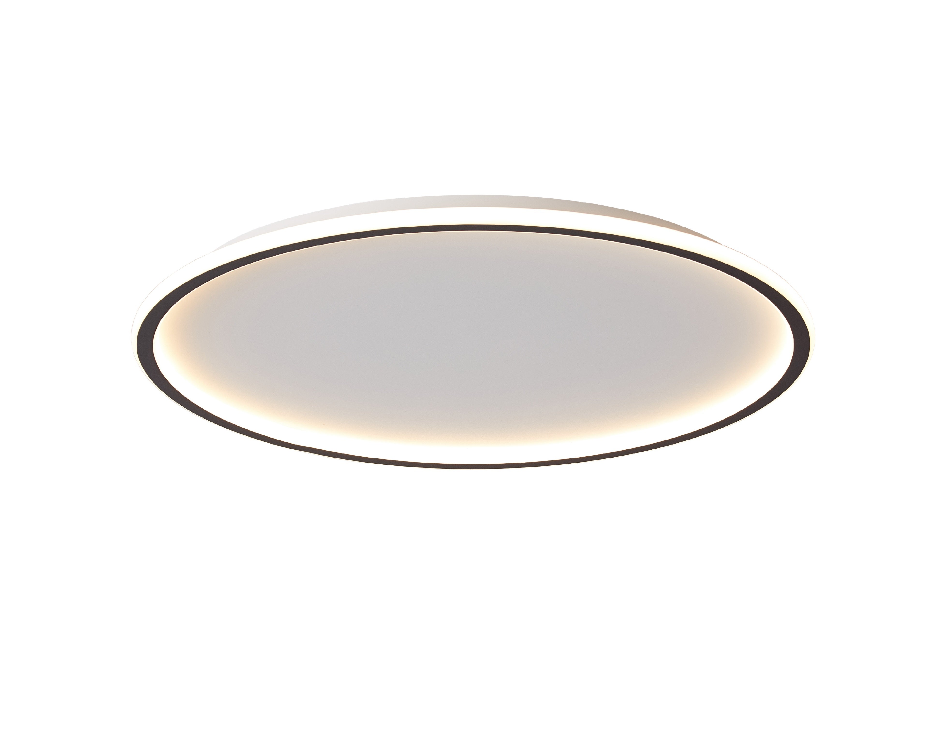 LED Modern Ceiling Lamp ARLA VIOKEF